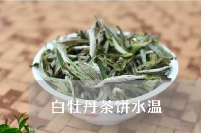 白牡丹茶饼水温/2023060391926