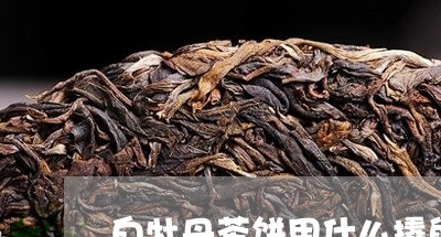 白牡丹茶饼用什么撬的/2023120926259