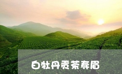 白牡丹贡茶寿眉/2023112554069