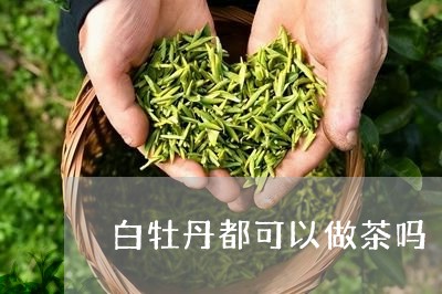 白牡丹都可以做茶吗/2023091389683