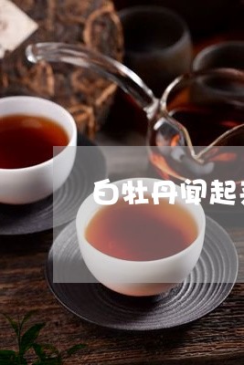 白牡丹闻起来有酸味吗/2023120972938