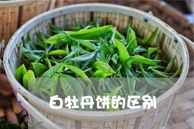 白牡丹饼的区别/2023112305938