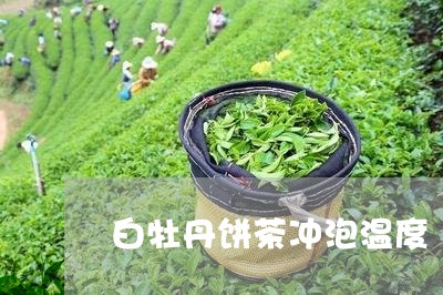 白牡丹饼茶冲泡温度/2023120544130