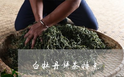 白牡丹饼茶特点/2023112312695