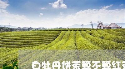 白牡丹饼茶算不算红茶/2023120985161