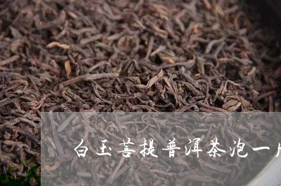 白玉菩提普洱茶泡一周/2023101740502