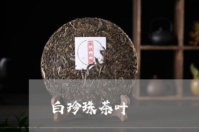 白珍珠茶叶/2023090236248