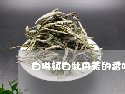 白琳镇白牡丹茶的香味/2023120925136