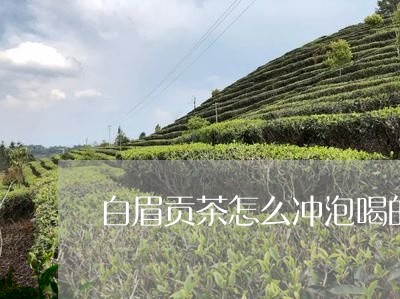 白眉贡茶怎么冲泡喝的/2023120827259