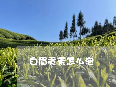 白眉贡茶怎么泡/2023112522816