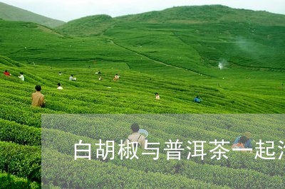 白胡椒与普洱茶一起泡好吗/2023110718481