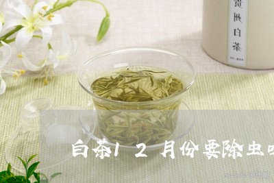 白茶12月份要除虫吗/2023092785037