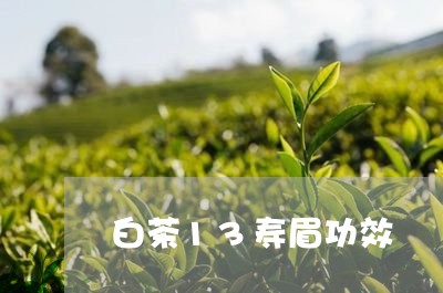 白茶13寿眉功效/2023090894950