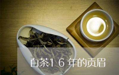 白茶16年的贡眉/2023062984737