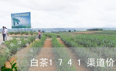 白茶1741渠道价/2023121597825