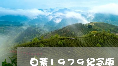 白茶1979纪念版/2023121538372