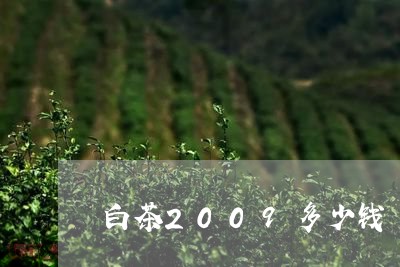 白茶2009多少钱/2023121380514