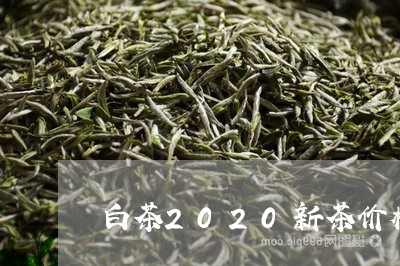 白茶2020新茶价格/2023092706051