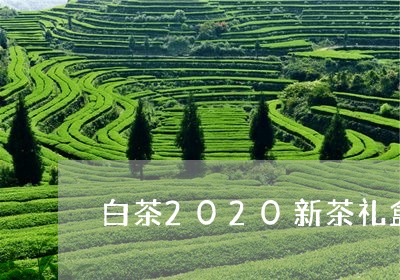 白茶2020新茶礼盒/2023092768475