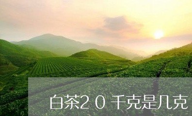 白茶20千克是几克/2023121519271