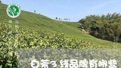 白茶3线品牌有哪些/2023071308603