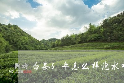 白茶5年怎么样泡水喝/2023092753939