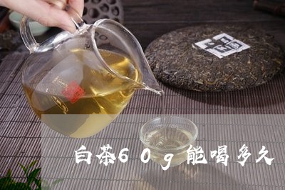 白茶60g能喝多久/2023071462724