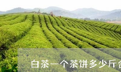 白茶一个茶饼多少斤合适/2023102872747