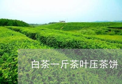 白茶一斤茶叶压茶饼/2023072221583