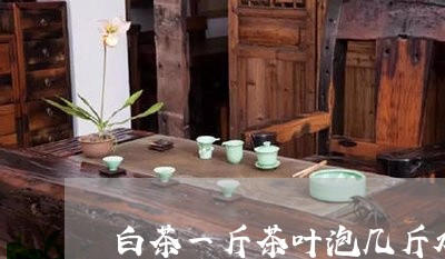 白茶一斤茶叶泡几斤水最好/2023111745250