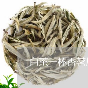 白茶一杯香茗风/2023060397370