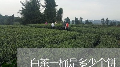 白茶一桶是多少个饼/2023072276041