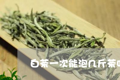 白茶一次能泡几斤茶叶茶/2023102866159