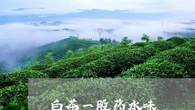 白茶一股药水味/2023060452603