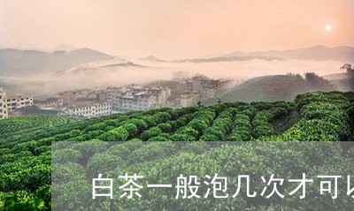 白茶一般泡几次才可以倒掉渣啊/2023073082816