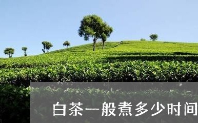 白茶一般煮多少时间/2023082146491