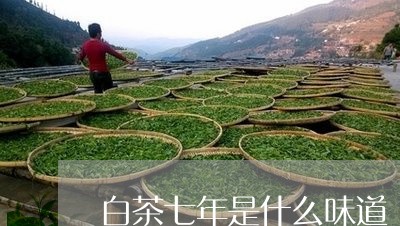 白茶七年是什么味道/2023082181716