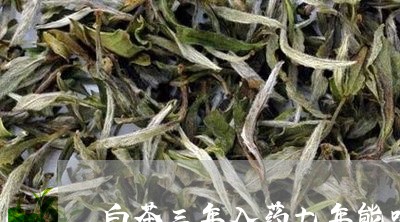 白茶三年入药七年能喝吗/2023102842604