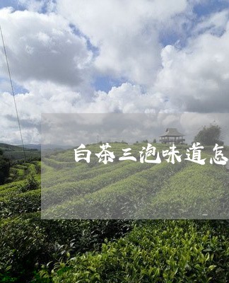 白茶三泡味道怎么样/2023073093729