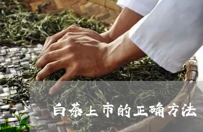 白茶上市的正确方法/2023072254836