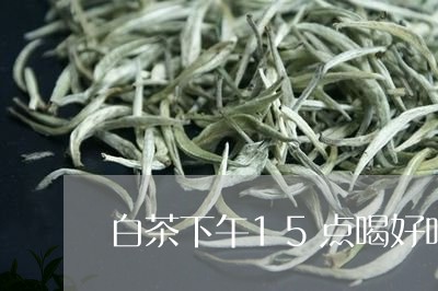 白茶下午15点喝好吗/2023092795736