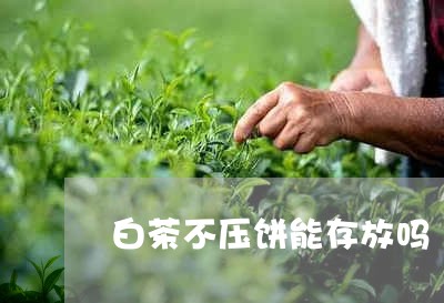 白茶不压饼能存放吗/2023072238350