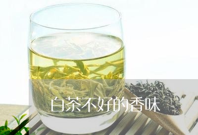 白茶不好的香味/2023060347372