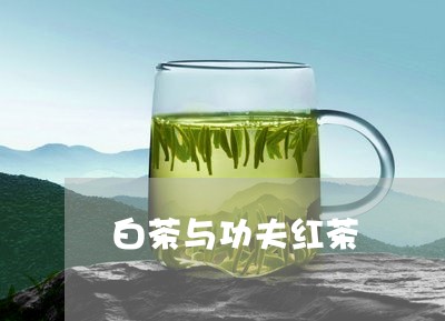 白茶与功夫红茶/2023060304360