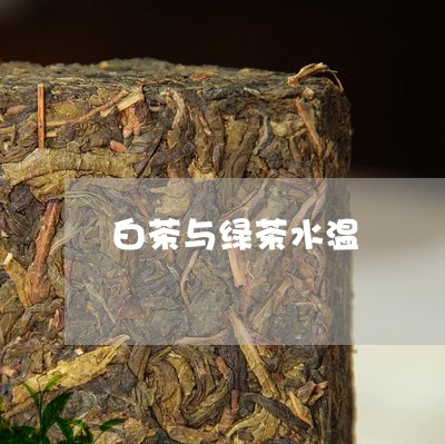 白茶与绿茶水温/2023060369593