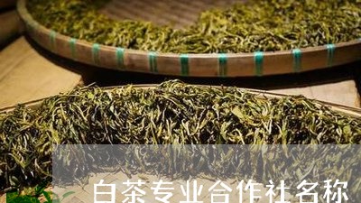 白茶专业合作社名称/2023072295259