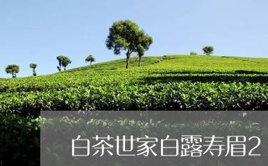 白茶世家白露寿眉2016/2023082553814