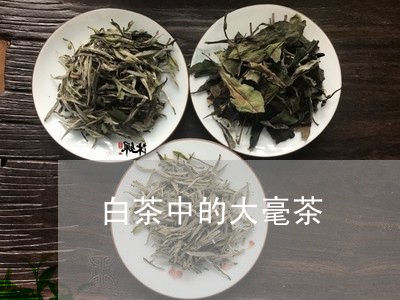 白茶中的大毫茶/2023060388584