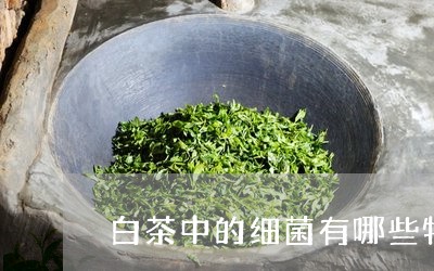 白茶中的细菌有哪些特征/2023102882816