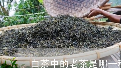 白茶中的老茶是哪一种的/2023102877371